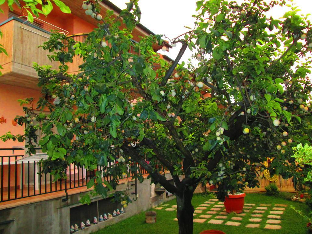 B&B Le Begonie Ascoli Piceno Exterior foto