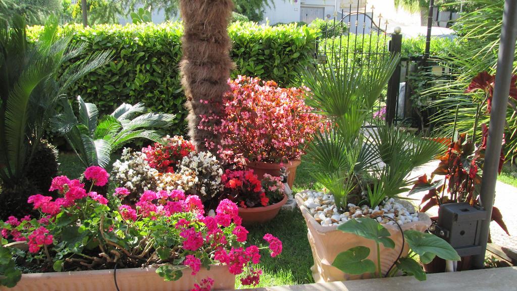 B&B Le Begonie Ascoli Piceno Exterior foto